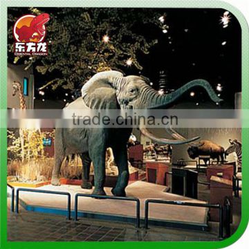 Hot Sale life size animatronic elephant toy for museum