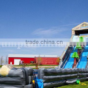 Large water slide for sale,Outdoor inflatable wet slider with pool for adults