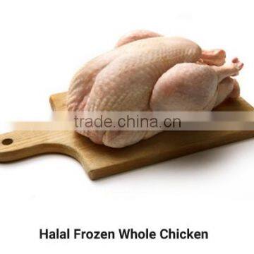 halal frozen whole chicken