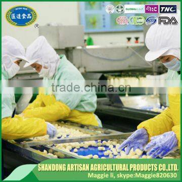 Excellent Quality Frozen Peeled Garlic Segment From China Golden Supplier photo-6