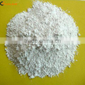 Diatomite Powder all Grades