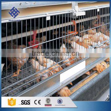 30 Years' Factory Supply Automatic Chicken Broiler Cages photo-5
