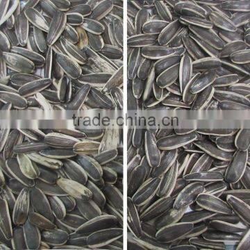 Most Popular Ccd Color Sorter Machine With Factory Price photo-2