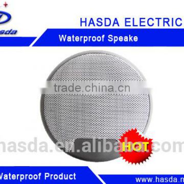 waterproof marine speaker for sauna room,boat