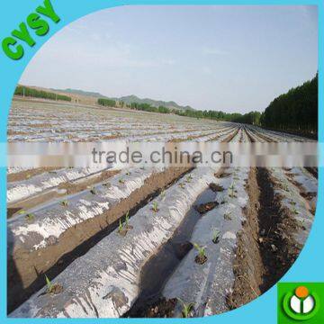 Agricultural Black and Silver Polyethylene Plastic Mulch Film
