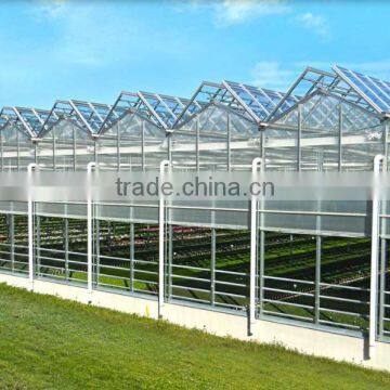 Galvanized Steel Structure Tempered Glass Greenhouse/Hydroponics Greenhouse/Commercial Greenhouse photo-5