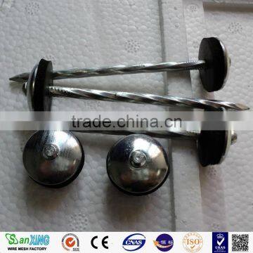 Twist Umbrella Head Galvanized Roofing Nails photo-4