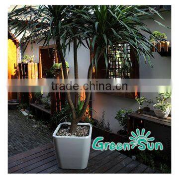 Plastic Flower Pots,flower Pot,self-watering Planter,nursery Pots,Sub-irrigation System Planter Pot,Desktop Planter photo-3