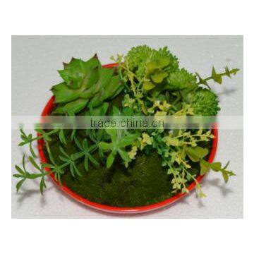 SJ3001011 Indoor Mini Bonsai Cactus Plant Artificial photo-3