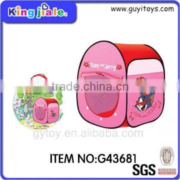 Super Quality Oem Lowest Price Small Tent for Children photo-5