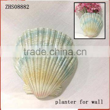 Creative Pot Flower Unique Design Shell Mini Planter for Wall