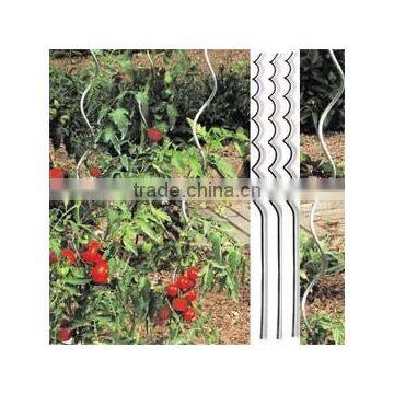 Iron Tomato Spiral for Plant Support photo-5
