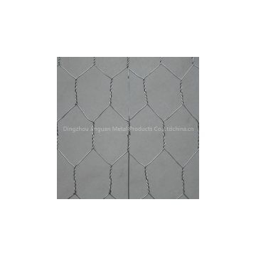 Hexagonal Poultry Wire Netting