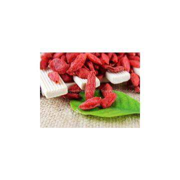 Wolfberry,goji Berries photo-3