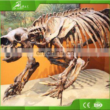 KAWAH Museum Artificial Educational Dinosaur Skeletons For Kids photo-4