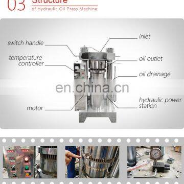 2019 New Type Cold Pressing Pinus Tomentosa Fruit Press Stainless Steel Hydraulic Press Sesame Oil Press photo-6