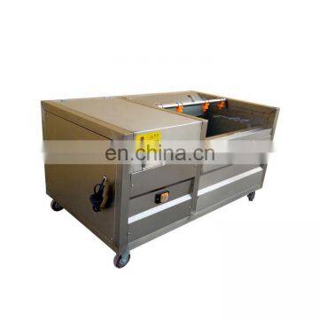 Taizy Potato Ginger Carrot Peanut Orange Taro Washing Machine photo-6