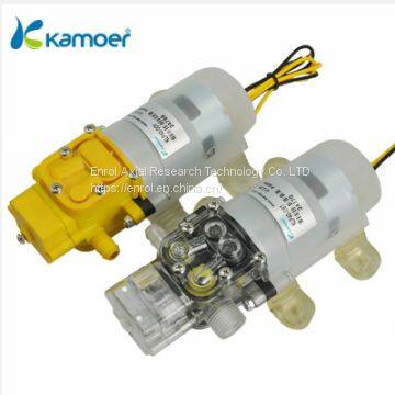 Diaphragm Pump