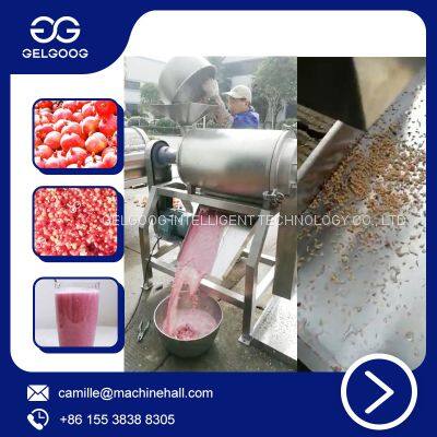 High Juice Yield Industrial Pomegranate Juice Factory In Maharashtra