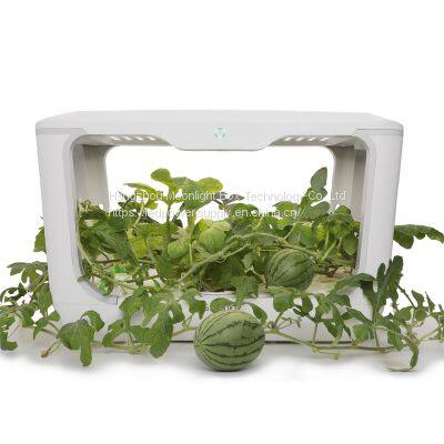 Complete Hydroponic Indoor Growing Systems Indoor Small Smart Home Flowerpot Growing Systems photo-3