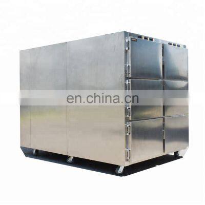 Factory 201 ss Cooler Box Germany Compressor Dead Body Freezer 6 Mortuary Freezer photo-3