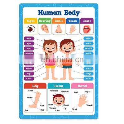 Printing Interactive Learning Poster Kinder Custom Posters For Wall