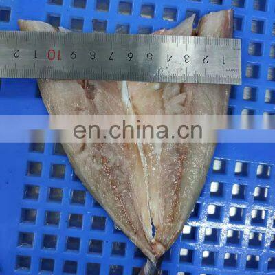 Good Quality Frozen Breaded Horse Mackerel Fish Fillet photo-3
