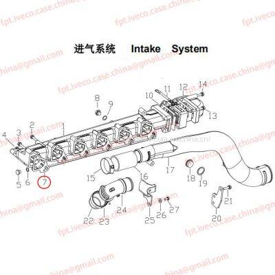 MAN D0836 Gasket 08902-0212