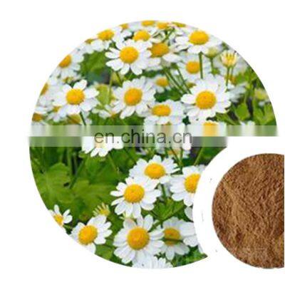 Parthenolide Feverfew Powder Tanacetum Parthenium Herbs Extracts Small Chrysanthemum Extract