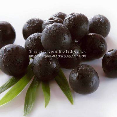 Acai berry Extract Anthocyanidins 5%, ORAC, Acai berry fruit Powder Polyphenol, Euterpe oleracea Powder, Anthocyanidins Extract