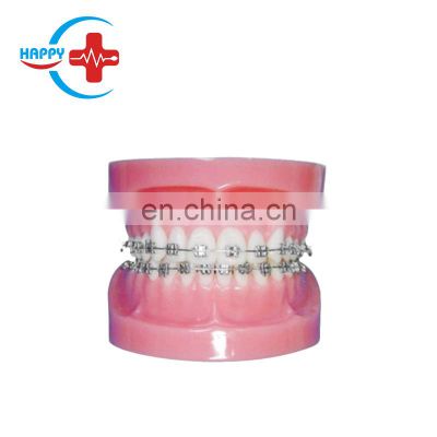 HC-S426 Medical Oral Normal Fixed Rectify Model Teeth/Dental Orthodontic Teeth Model