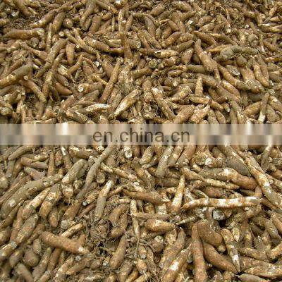 Cassava Potato Starch Production Line photo-3