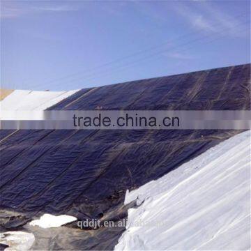 Polypropylene Heated (PP Heated) Non-Woven Geotextile Geobag 650gsm photo-2