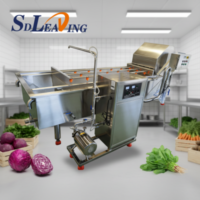 Ozone System Lavadora De Frutas Industrial Fruit Bubble Washing Machine