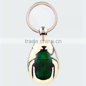 2016 new keychain with real insect green rose chafer beetle