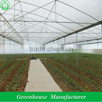 greenhouses agriculture projects