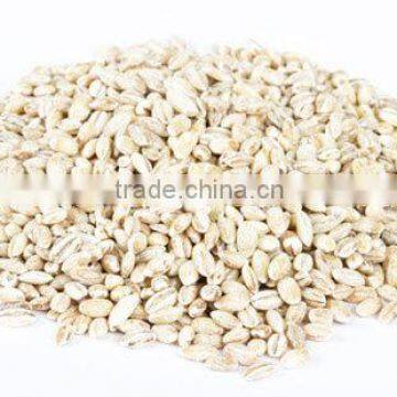 Pearl Barley Ukraine