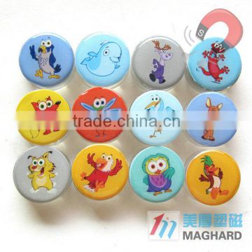 Cartoon Acrylic Fridge Magnet Series