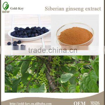 100% Pure Siberian Ginseng Root Extract Powder