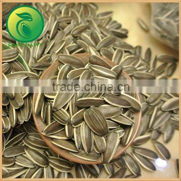 New Crop 3638 Sunflower Seed Best Selling Products photo-2