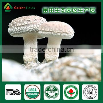 Wholesale China Supplier of Health Food Mushroom Edibal Fungus Fresh Dried Shiitake Mushroom for Garden Farm Restaurant photo-3