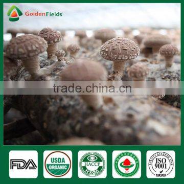 Magic Mushrooms,Shiitake Mushroom Spawn,Polish Wild Dried Mushrooms photo-6