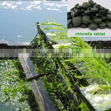 Organic chlorella tablets private label