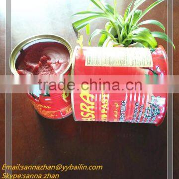 tomato paste