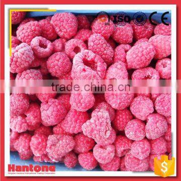 Best Price Frozen Organic Raspberry