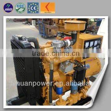 Home Power Generator 10KW Gas Turbine Generator Biogas Generator Price