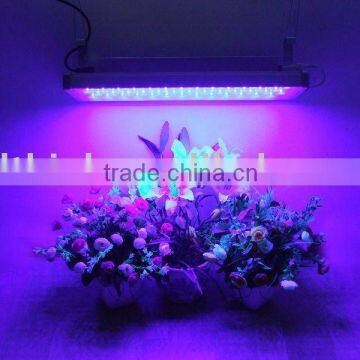 Full Spectrum Super Power high power led grow lamp