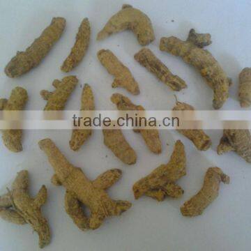 Turmeric Finger Unpolished