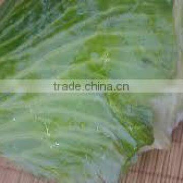 Viet Nam Frozen Green Cabbage /Cabbages good for heathy