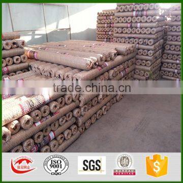 Qiangguan factory cheap chicken wire for wall insulation